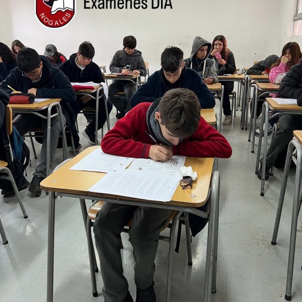 EXAMEN DIA